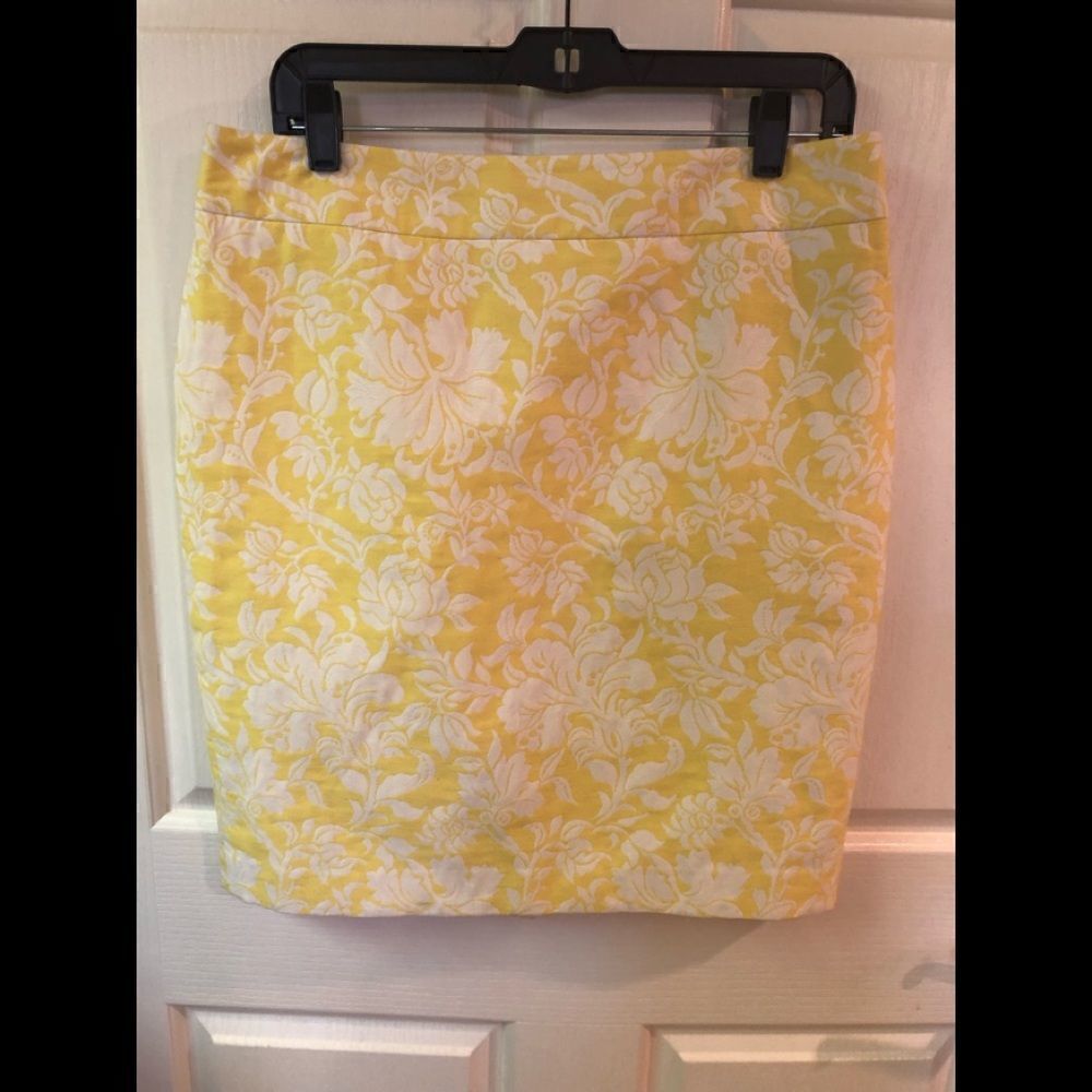 Ann Taylor pencil skirt, NWOT